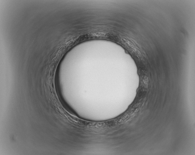 X0000115640817200912011459