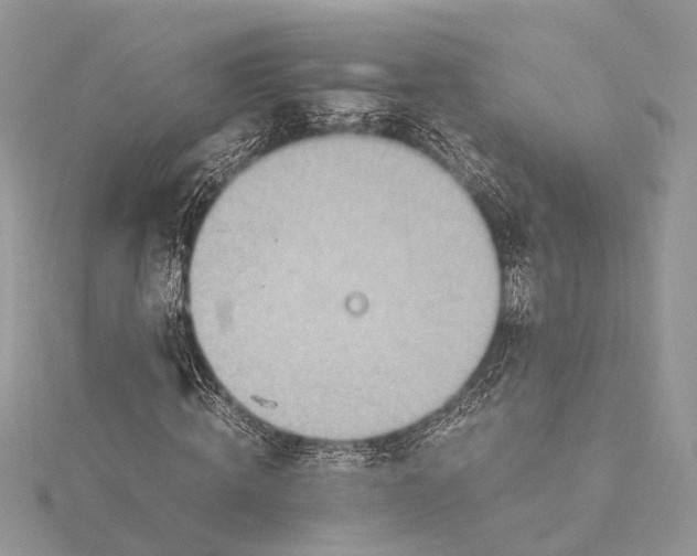 X0000115640820200912011459