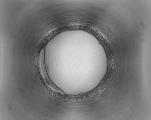 X0000115640821200912011459