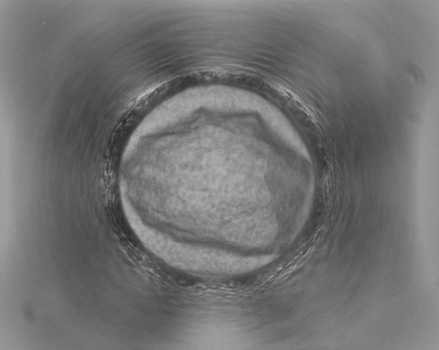 X0000115640822200912011459