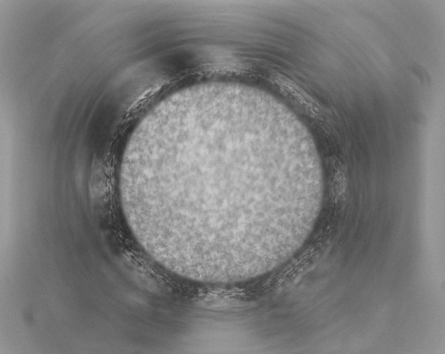 X0000115640824200912011459
