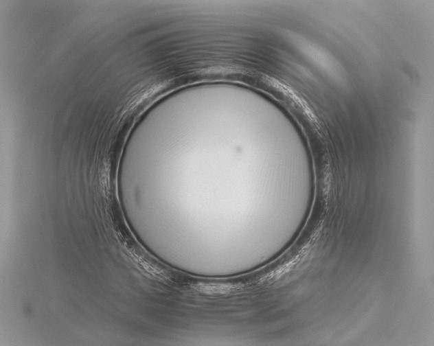 X0000115640825200912011459