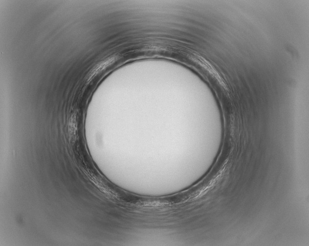 X0000115640826200912011459