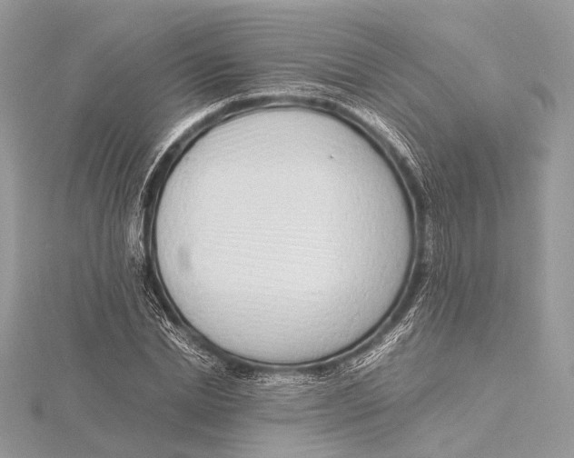 X0000115640830200912011459