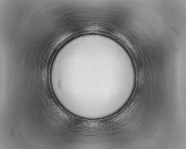 X0000115640831200912011459