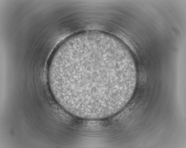 X0000115640832200912011459