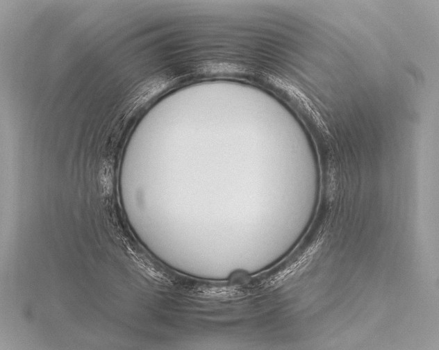 X0000115640833200912011459