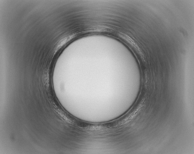 X0000115640834200912011459
