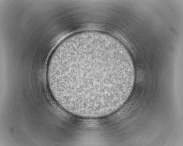 X0000115640836200912011459