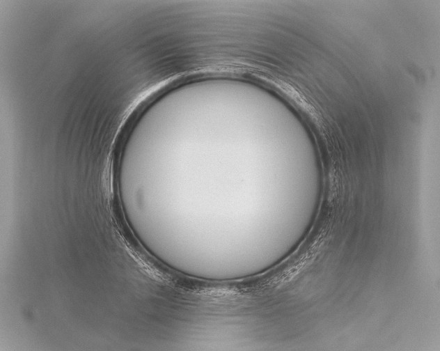 X0000115640838200912011459