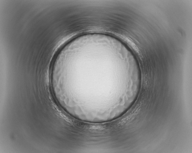 X0000115640839200912011459