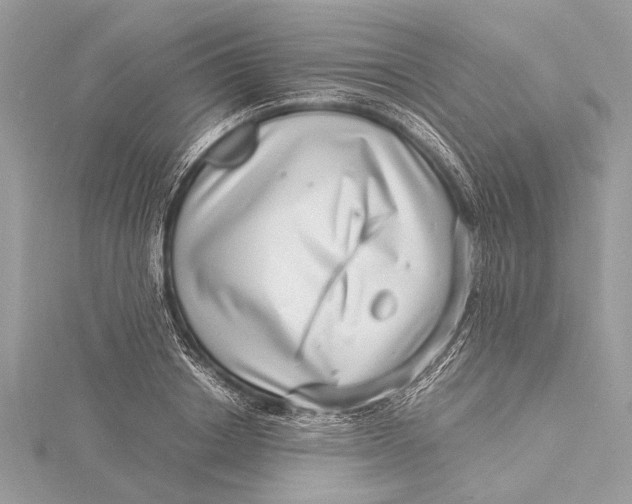 X0000115640842200912011459