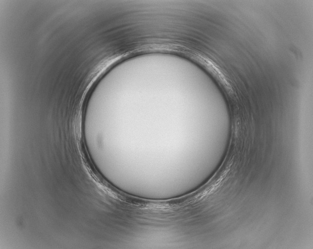 X0000115640844200912011500