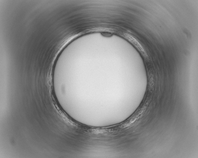 X0000115640852200912011500
