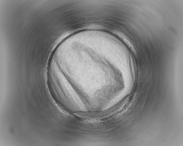 X0000115640853200912011500