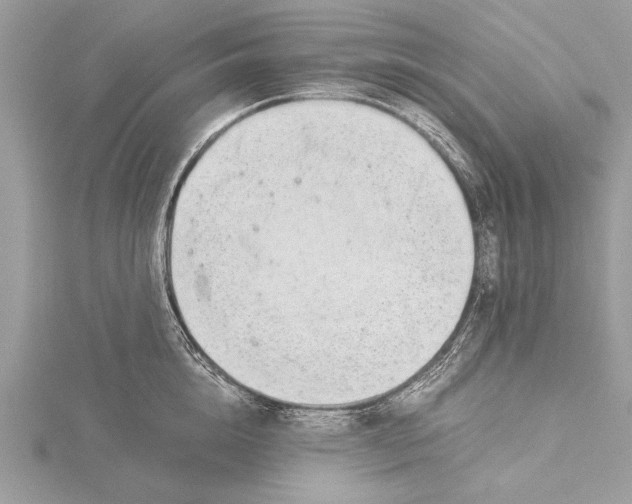 X0000115640856200912011500