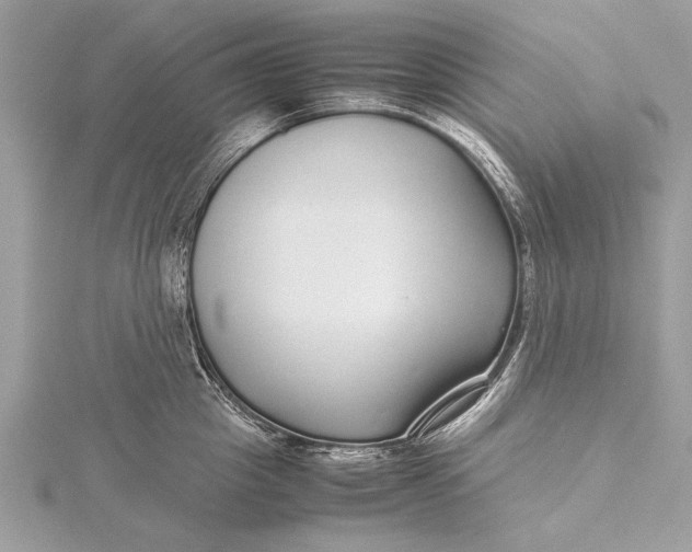 X0000115640857200912011500