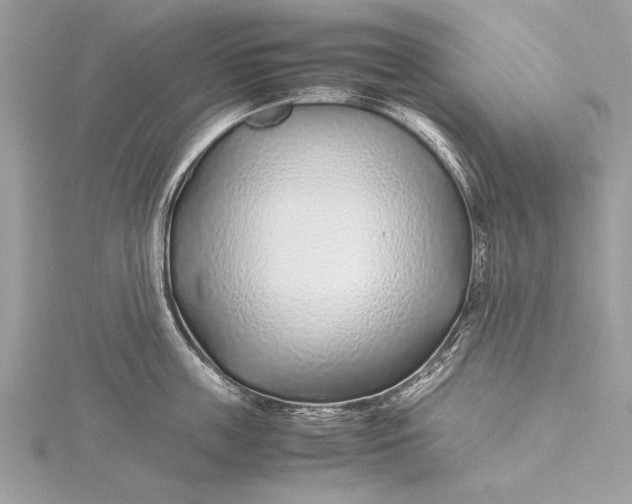 X0000115640859200912011500