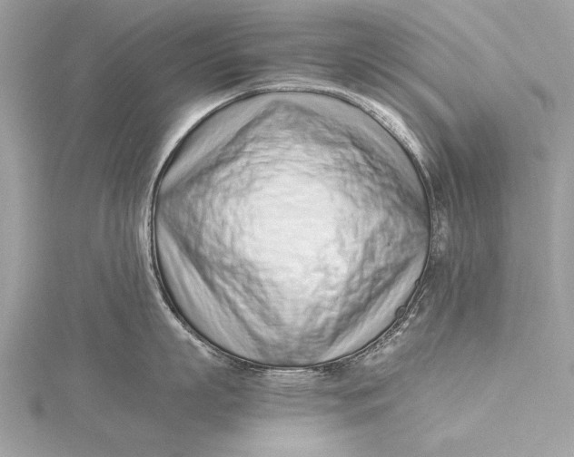 X0000115640863200912011500