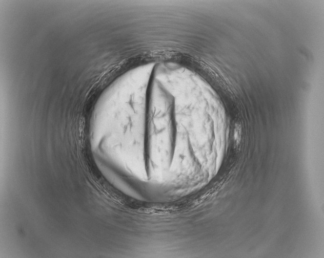 X0000115640867200912011459