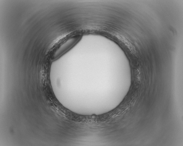 X0000115640872200912011459