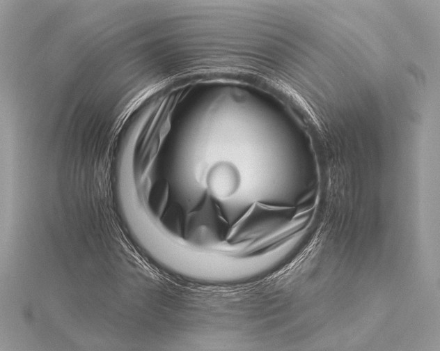 X0000115640874200912011459