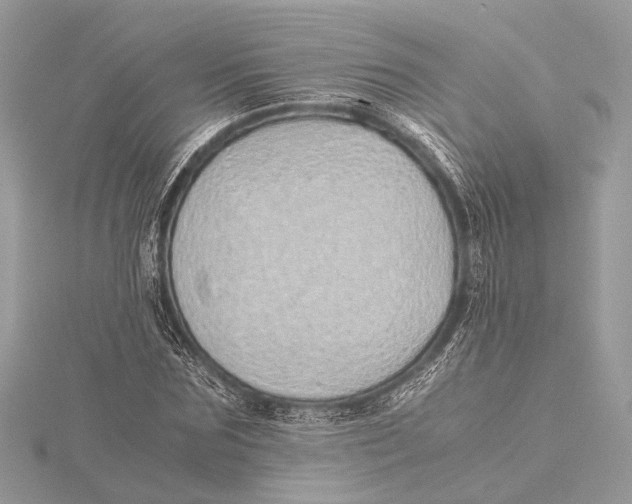 X0000115640875200912011459
