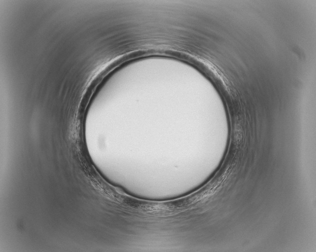 X0000115640879200912011459