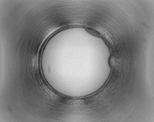 X0000115640884200912011459