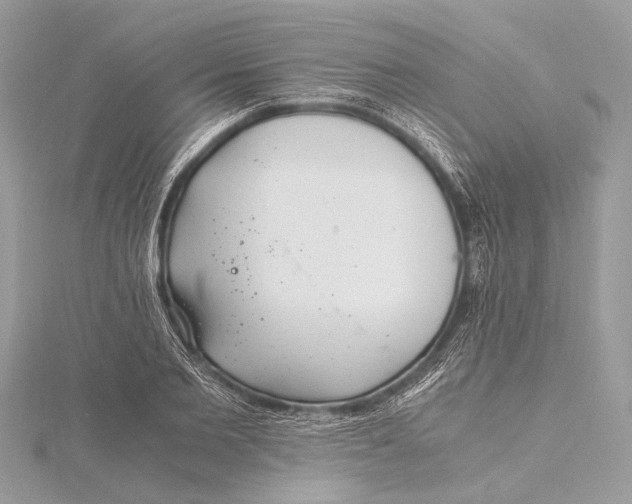 X0000115640885200912011459