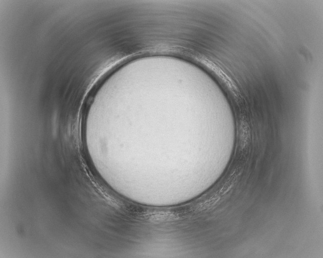 X0000115640886200912011459