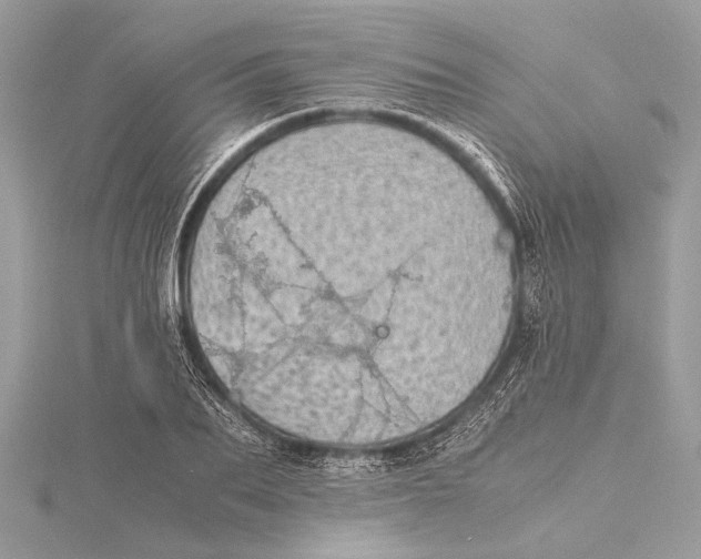 X0000115640887200912011459