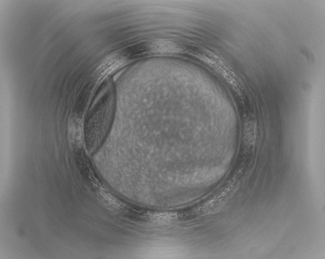 X0000115640889200912011459