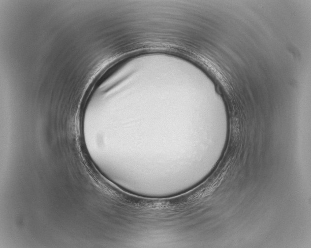 X0000115640891200912011459