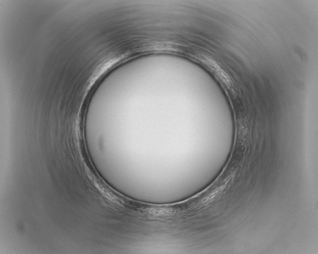 X0000115640893200912011459