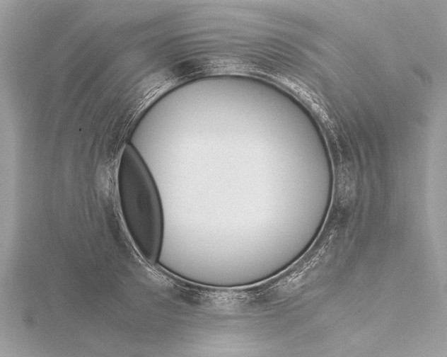 X0000115640897200912011459