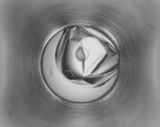 X0000115640901200912011459