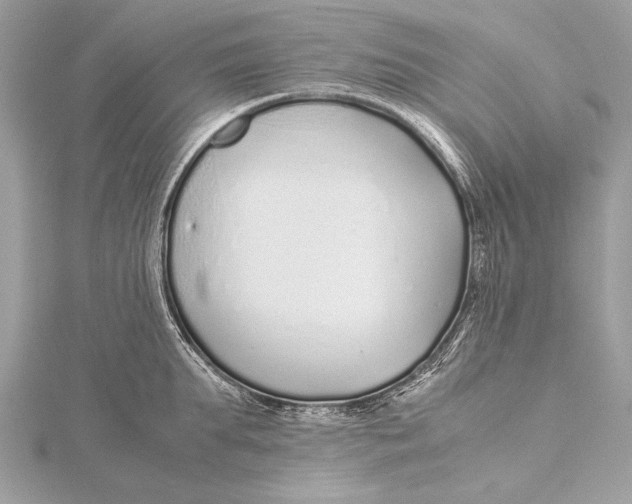 X0000115640903200912011459