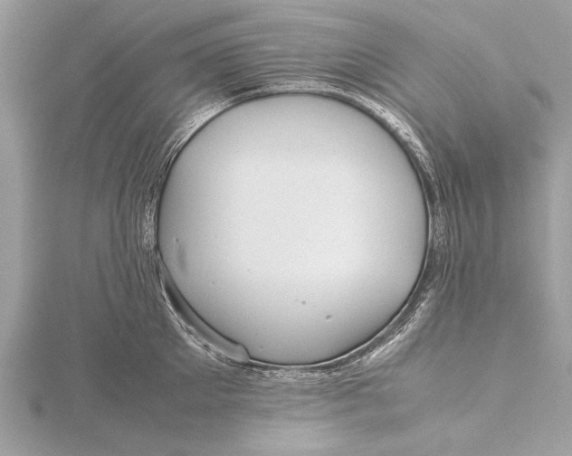 X0000115640905200912011458