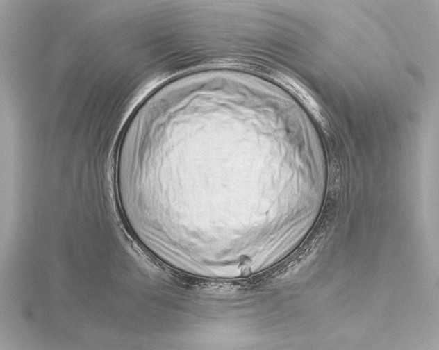 X0000115640907200912011458