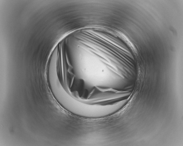 X0000115640908200912011458