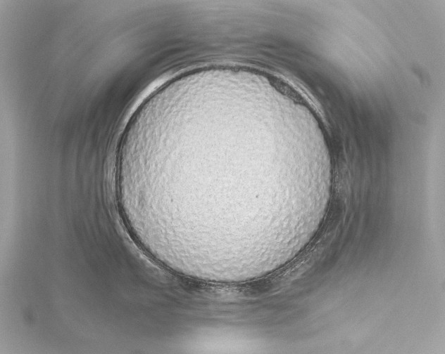X0000115640911200912011458