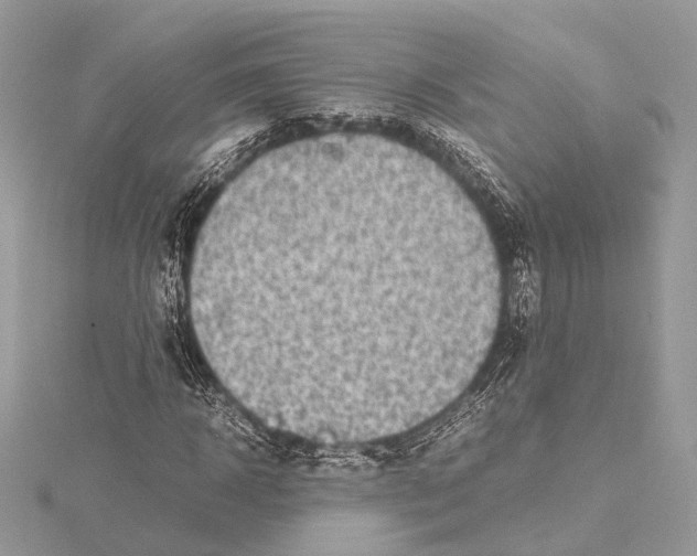 X0000115640918200912011458