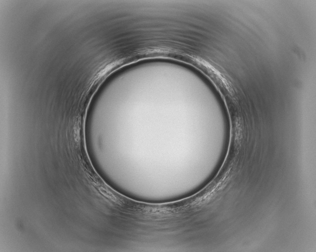 X0000115640921200912011458