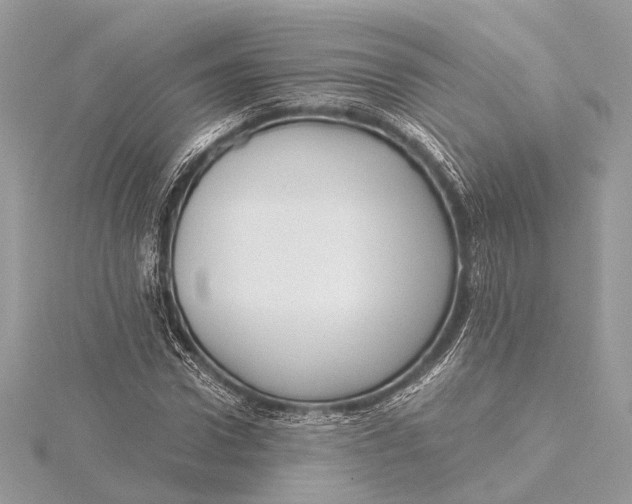 X0000115640922200912011458
