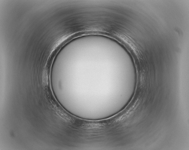 X0000115640925200912011458