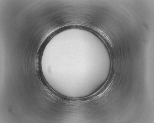 X0000115640926200912011458
