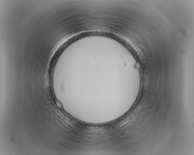 X0000115640927200912011458