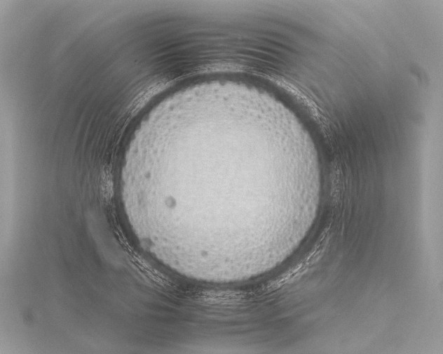 X0000115640929200912011458
