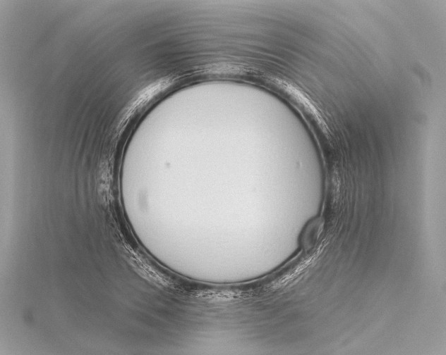 X0000115640930200912011458